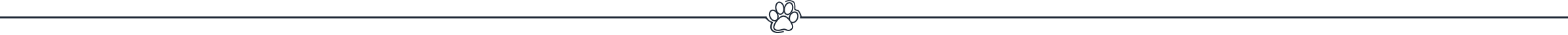 paw divider paw divider