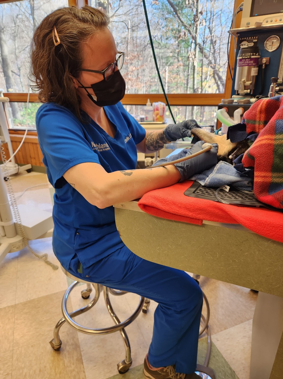 Dental Cleaning